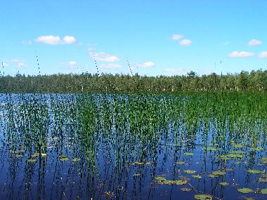 Maison de vacances �/en/au Haparanda (Norrbotten)ou appartement ou maison de vacances