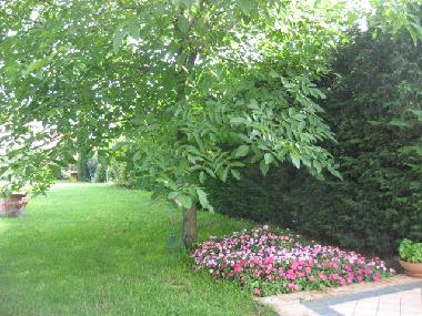 Maison de vacances /en/au DESENZANO DEL GARDA (Brescia)ou appartement ou maison de vacances