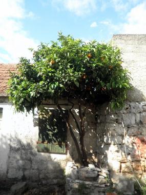 Appartement de vacances /en/au Trogir (Splitsko-Dalmatinska)ou appartement ou maison de vacances