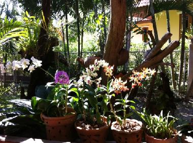 Maison de vacances �/en/au Aonang (Krabi)ou appartement ou maison de vacances