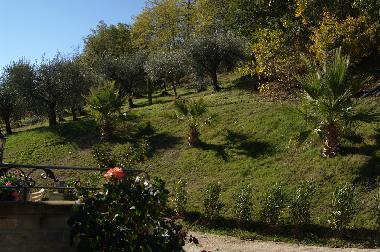 Appartement de vacances /en/au Ripatransone (Ascoli Piceno)ou appartement ou maison de vacances
