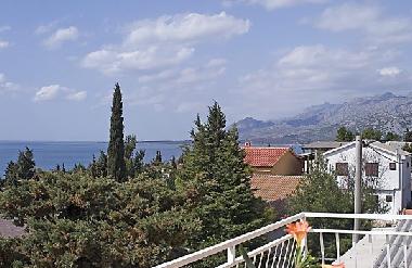 Maison de vacances /en/au ZADAR (Zadarska)ou appartement ou maison de vacances