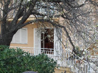 Maison de vacances /en/au ZADAR (Zadarska)ou appartement ou maison de vacances