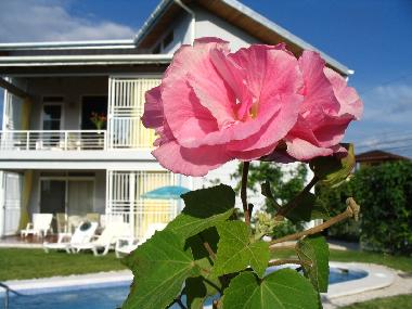 Maison de vacances �/en/au Playa Carrillo (Guanacaste)ou appartement ou maison de vacances