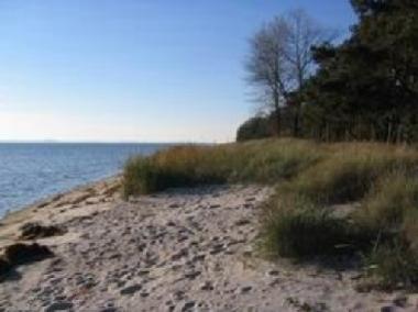 Appartement de vacances /en/au Zudar (Ostsee-Inseln)ou appartement ou maison de vacances