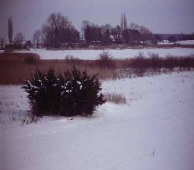 Appartement de vacances /en/au Zudar (Ostsee-Inseln)ou appartement ou maison de vacances