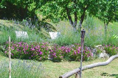 Maison de vacances /en/au Barga (Lucca)ou appartement ou maison de vacances