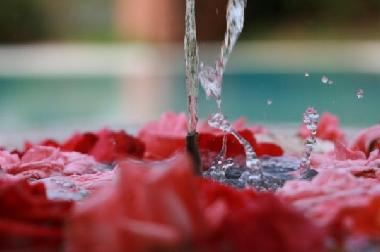 Chambre avec petit d�jeuner �/en/au Marrakech (Marrakech)ou appartement ou maison de vacances