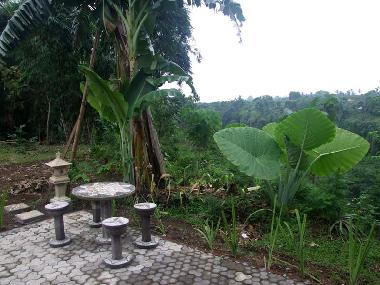 Maison de vacances �/en/au Sambangan, Singaraja (Bali)ou appartement ou maison de vacances