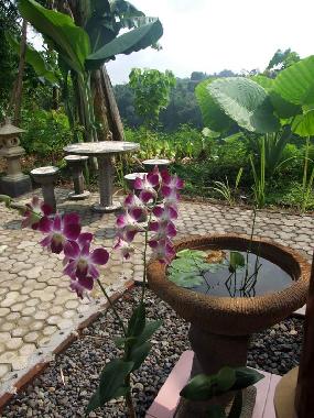 Maison de vacances �/en/au Sambangan, Singaraja (Bali)ou appartement ou maison de vacances