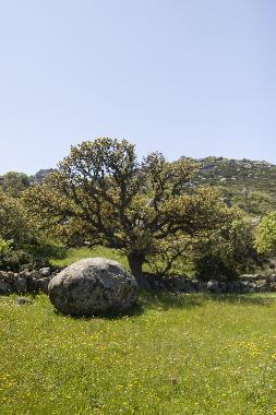 Maison de vacances /en/au Tinos island (Kyklades)ou appartement ou maison de vacances