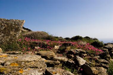 Maison de vacances /en/au Tinos island (Kyklades)ou appartement ou maison de vacances
