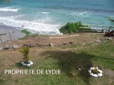 vue depuis le jardin/parc