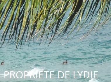 vue depuis la terrasse et le jardin/parc