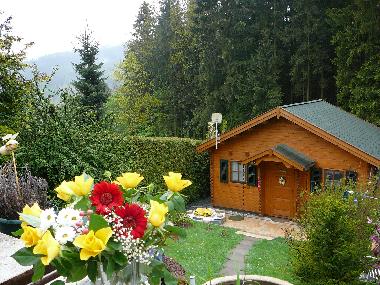 Maison de vacances /en/au Amtsberg (Erzgebirge)ou appartement ou maison de vacances