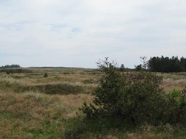 Maison de vacances �/en/au Bedsted (Nordjylland)ou appartement ou maison de vacances