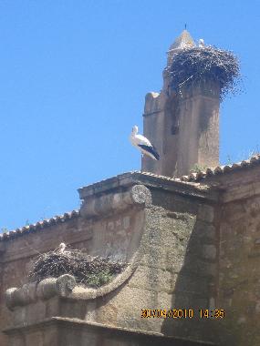 Appartement de vacances /en/au Cceres (Cceres)ou appartement ou maison de vacances