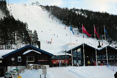 Maison de vacances �/en/au S�LEN-Tand�dalen (Dalarna)ou appartement ou maison de vacances