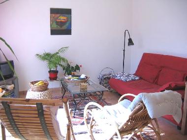 S�jour expos� sud donnant directement sur la terrasse