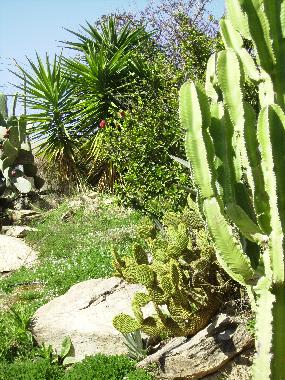 Villa �/en/au Torrox (M�laga)ou appartement ou maison de vacances