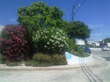 Appartement de vacances /en/au Carvoeiro (Algarve)ou appartement ou maison de vacances