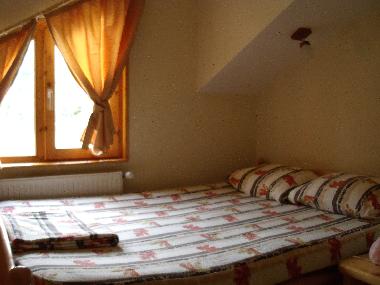 Maison de vacances �/en/au Valisoara (Alba)ou appartement ou maison de vacances