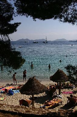 Appartement de vacances /en/au Palma de Mallorca (Mallorca)ou appartement ou maison de vacances