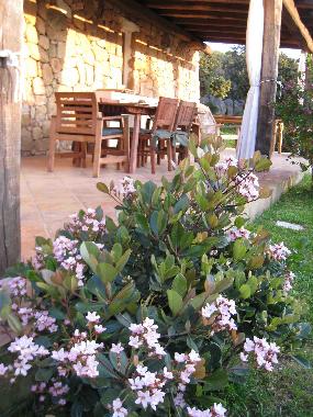 Maison de vacances /en/au Baja Sardinia (Olbia-Tempio)ou appartement ou maison de vacances