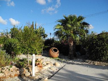 Appartement de vacances /en/au Pafos Peyia (Paphos)ou appartement ou maison de vacances