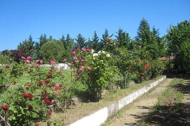 Appartement de vacances �/en/au Litochoron (Pella)ou appartement ou maison de vacances