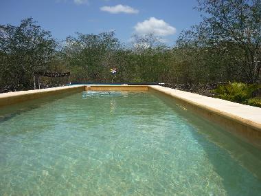 Appartement de vacances �/en/au Cuzama (Yucatan)ou appartement ou maison de vacances