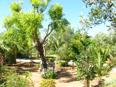 Maison de vacances �/en/au Ses Salines (Mallorca)ou appartement ou maison de vacances