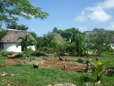 Appartement de vacances �/en/au Cuzama (Yucatan)ou appartement ou maison de vacances