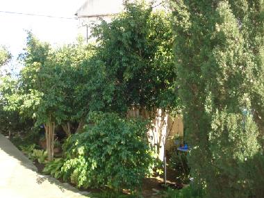 Maison de vacances /en/au Ses Salines (Mallorca)ou appartement ou maison de vacances