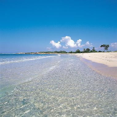 Appartement de vacances �/en/au Colonia de Sant Jordi (Mallorca)ou appartement ou maison de vacances