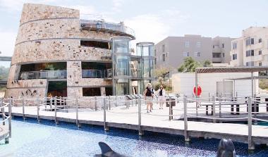 Appartement de vacances �/en/au Colonia de Sant Jordi (Mallorca)ou appartement ou maison de vacances