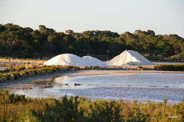 Appartement de vacances /en/au Colonia de Sant Jordi (Mallorca)ou appartement ou maison de vacances