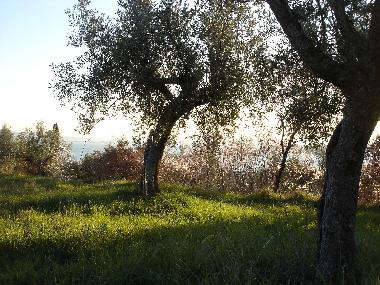 Maison de vacances /en/au Passignano sul Trasimeno (Perugia)ou appartement ou maison de vacances