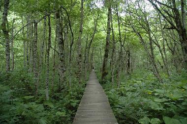 Maison de vacances �/en/au Kolasin (Mont�n�gro)ou appartement ou maison de vacances