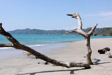 Maison de vacances �/en/au La Inmaculada (Puntarenas)ou appartement ou maison de vacances