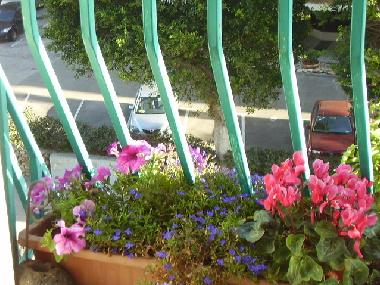 Appartement de vacances �/en/au Tel Aviv (Tel Aviv)ou appartement ou maison de vacances