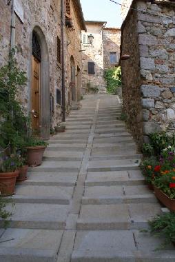 Appartement de vacances �/en/au Roccatederighi (Grosseto)ou appartement ou maison de vacances