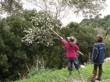 Maison de vacances /en/au Salakos (Dodekanisos)ou appartement ou maison de vacances