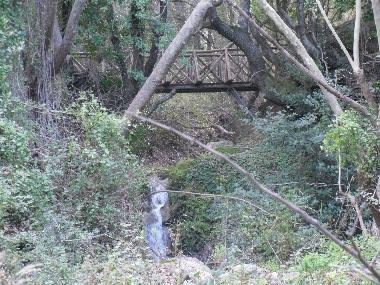 Maison de vacances /en/au Salakos (Dodekanisos)ou appartement ou maison de vacances