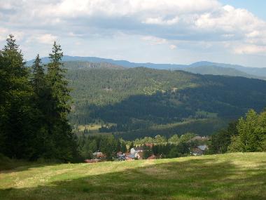 Maison de vacances �/en/au Mitterfirmiansreut (Mitterdorf) (Budejovicky Kraj)ou appartement ou maison de vacances