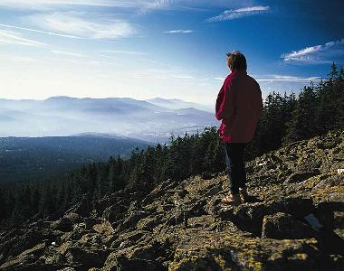 Maison de vacances �/en/au Mitterfirmiansreut (Mitterdorf) (Budejovicky Kraj)ou appartement ou maison de vacances