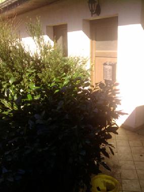 Appartement de vacances /en/au Velbert (Region Dsseldorf)ou appartement ou maison de vacances