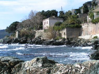 Appartement de vacances /en/au Erbalunga Cap corse (Haute-Corse)ou appartement ou maison de vacances