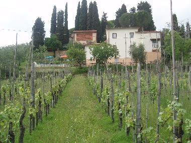 Maison de vacances /en/au Lucca (Lucca)ou appartement ou maison de vacances