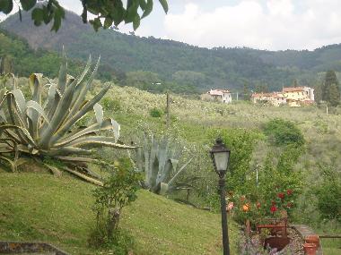 Maison de vacances /en/au Lucca (Lucca)ou appartement ou maison de vacances